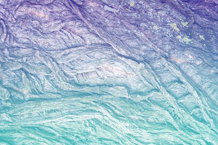 Texture, background, pattern. Bark of tree. Outside, above the timber, piece of trunks, stems and...