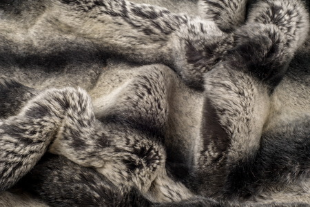 rabbit fur texture, background. a burrowing, gregarious, plant-eating mammal with long ears, long...