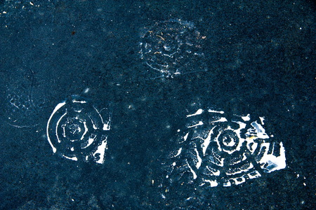Self-leveling floors. Texture, background. the lower surface of a room, on which one may walk.