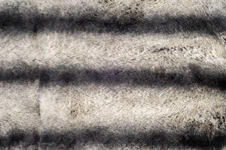 rabbit fur texture, background. a burrowing, gregarious, plant-eating mammal with long ears, long...