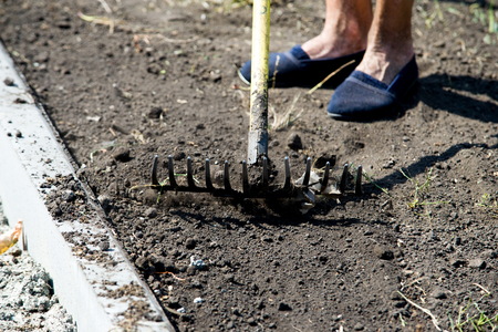 Texture, background.  the soil. the upper layer of earth in which plants grow, a black or dark brown material. ground, land, earth, bedrock, dirtの写真素材