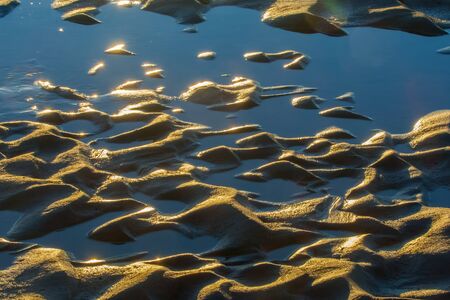 The texture of the sand. Sand in the wild natureの写真素材