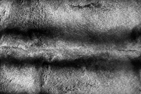 rabbit fur texture, background. a burrowing, gregarious, plant-eating mammal with long ears, long...