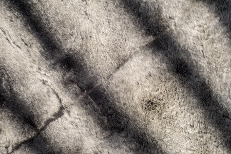 rabbit fur texture, background. a burrowing, gregarious, plant-eating mammal with long ears, long hind legs, and a short tail.の写真素材