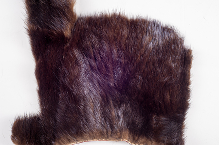 Texture, background. Mink fur. Waste production. Small patches of mink