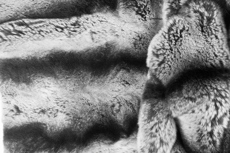 rabbit fur texture, background. a burrowing, gregarious, plant-eating mammal with long ears, long hind legs, and a short tail.の写真素材