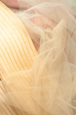 texture lace. a fine open fabric, typically one of cotton or silk, made by looping, twisting, or...