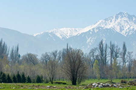 Kazakhstan, early spring. Park of the first president of the country. Central park at sunny day. beautiful green parkの写真素材