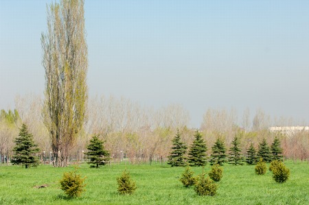 Kazakhstan, early spring. Park of the first president of the country. Central park at sunny day. beautiful green parkの写真素材