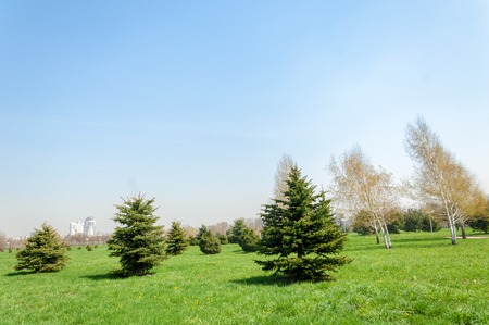 Kazakhstan, early spring. Park of the first president of the country. Central park at sunny day. beautiful green parkの写真素材