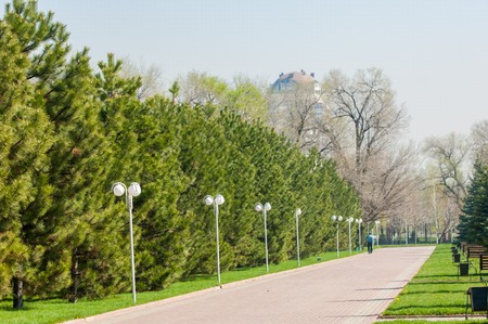 Kazakhstan, early spring. Park of the first president of the country. Central park at sunny day. beautiful green parkの写真素材