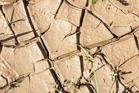 cracked earth texture prolonged drought