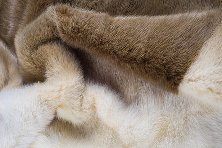 Texture, background. mink fur. Mink coat. Gold color mink fur. a small, semiaquatic, stoatlike carnivore native to North America and Eurasia. The American mink is widely farmed for its fur.の写真素材