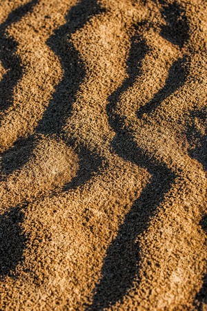 The texture of the sand. Sand in the wild natureの写真素材