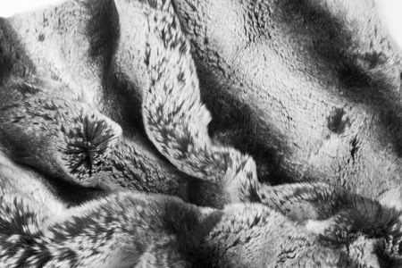 rabbit fur texture, background. a burrowing, gregarious, plant-eating mammal with long ears, long hind legs, and a short tail.の写真素材