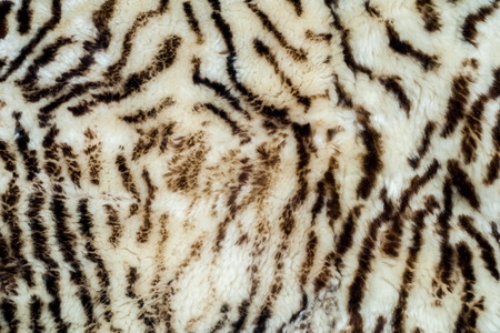 Background, Texture. sheepskin, lambskin, sheep, budge. a sheep's skin with the wool on, especially when made into a garment or rug.の写真素材