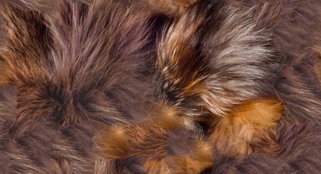 Texture, background, seamless pattern. This is useful for designers. Fox fur animal. Carnivorous...