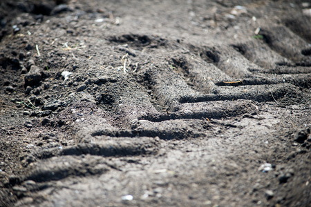 Texture, background.  the soil. the upper layer of earth in which plants grow, a black or dark brown material. ground, land, earth, bedrock, dirtの写真素材