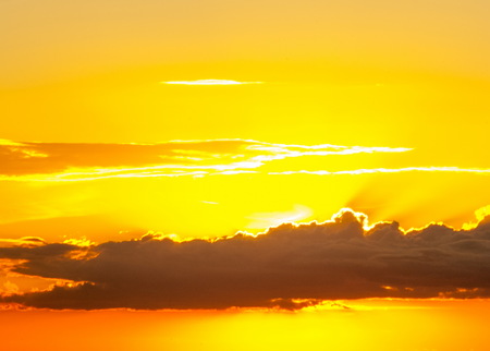 Foggy sunrise. forest fog. Lights of the forest. Beautiful morning scene in the forest with sun rays and long shadowsの写真素材
