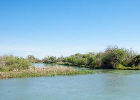 Steppe river reeds summer. views in the view of the river. small blue river by a sunny dayの写真素材