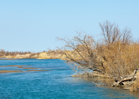 river in spring steppe. riverbank overgrown with reeds. water is pure emeraldの写真素材