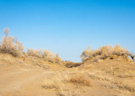 river in spring steppe. riverbank overgrown with reeds. water is pure emeraldの写真素材