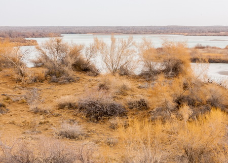 river in spring steppe. riverbank overgrown with reeds. water is pure emeraldの写真素材