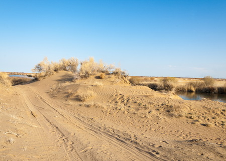river in spring steppe. riverbank overgrown with reeds. water is pure emeraldの写真素材