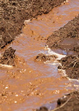 early spring, meltwater streams dirtyの写真素材