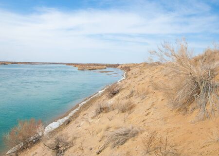 sand. spring. water. snow. Haloxylon. Central Asia,  Sinkiang,  Haloxylon ammodendron, Haloxylon...