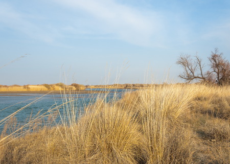 river spring. spring river in Central Asia. Kazakhstan steppe river Semirechye.の写真素材