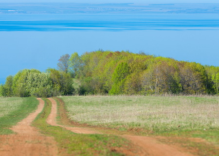 Road COUNTRY in spring day. Country road to the forest in spring day. Country road between green field at summer and blue clean sky. Nature conceptual image.の写真素材