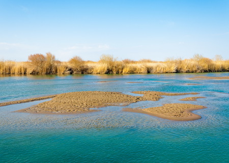 river in spring steppe. riverbank overgrown with reeds. water is pure emeraldの写真素材