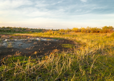 Small lake under nice sky. evening scene on lake in steppe, Landscape with bog in steppe in nice...