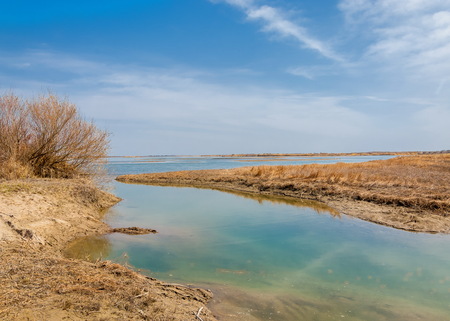 river in spring steppe. riverbank overgrown with reeds. water is pure emeraldの写真素材