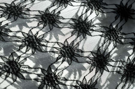 Texture, background, pattern. Black lace on white backgroundの写真素材