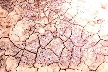 Texture, background, pattern. Cracked earth, clay. Abstract nature background with cracked earth....