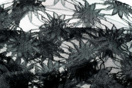 Texture, background, pattern. Black lace on white background