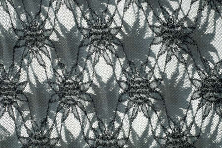 Texture, background, pattern. Black lace on white background