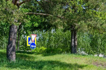 Spring urban landscape. City parks. green grass field in big city park. beautiful morning light in public park with green grass fieldの写真素材