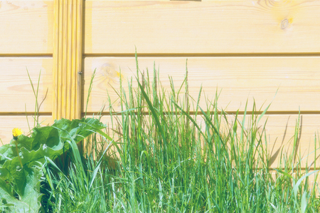 Texture, background, pattern. Good background. The boards are connected as a shield. A wooden wall with green grass. Wood texture, Natural wood background.の写真素材