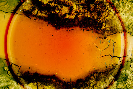 Texture, background, pattern. Cracked earth, clay. Abstract nature background with cracked earth....