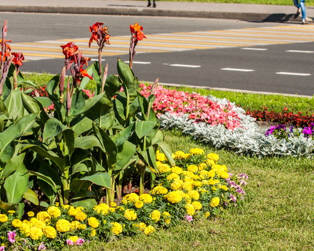 Urban beds. Landscape design in urban flowerbeds. Practical, aesthetic, gardening, as well as components of environmental sustainability including landscape design deserves.の写真素材