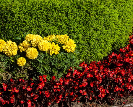 Urban beds. Landscape design in urban flowerbeds. Practical, aesthetic, gardening, as well as components of environmental sustainability including landscape design deserves.の写真素材