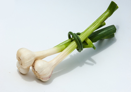garlic isolated on white background. a strong-smelling pungent-tasting bulb, used as a flavoring in cooking and in herbal medicine.の写真素材