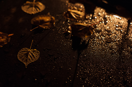 Background texture, pattern. Autumn leaves, drops of water from the rain. Car at night under a street lampの写真素材