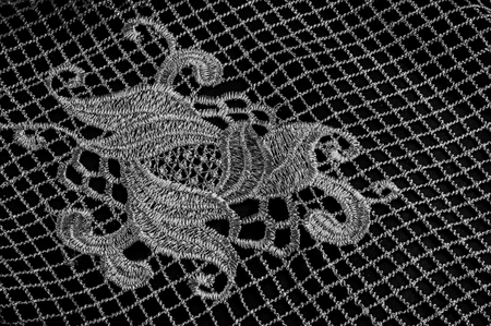 texture, pattern. The lace fabric is gray, black and white. Featuring the luxury and flash of the 1920s, take home this French Aqua Gray and a metallic silver striped floral lace with lashes.の写真素材