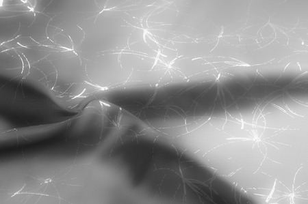 Background texture, pattern. Silk black fabric with a pattern. For the bohemians in all of us, take home this vint and black floral print silk Charmeuse. Thoughtful and flawlessly smooth,の写真素材