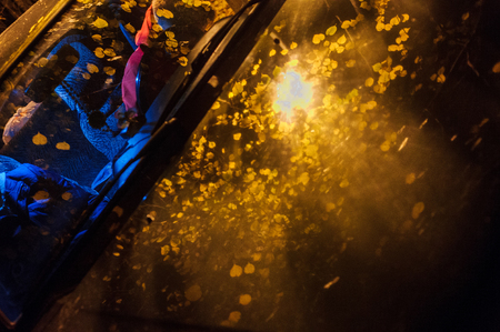 Background texture, pattern. Autumn leaves, drops of water from the rain. Car at night under a street lampの写真素材