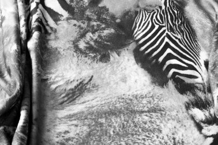 Texture background Finish your safari-inspired collection with this Black and White Zebra Printed Chiffon Boasting the boldly striped zebra print this soft chiffon is for the adventurous! Lightweightの写真素材